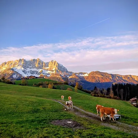 Bauernhof Schösserhof Reith bei Kitzbühel
