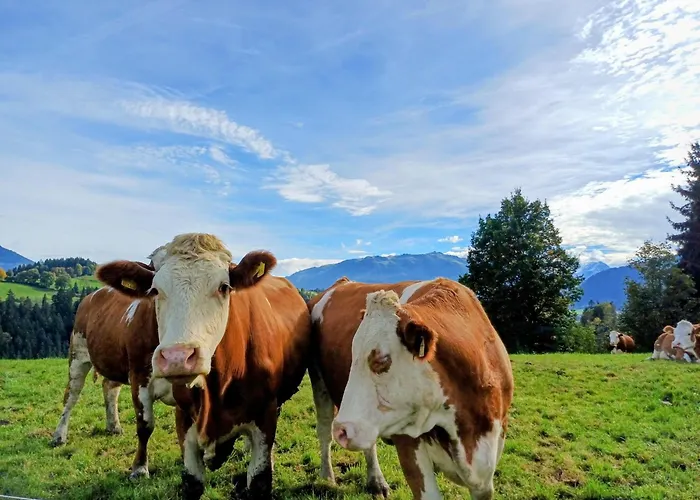 Farm stay Schoesserhof