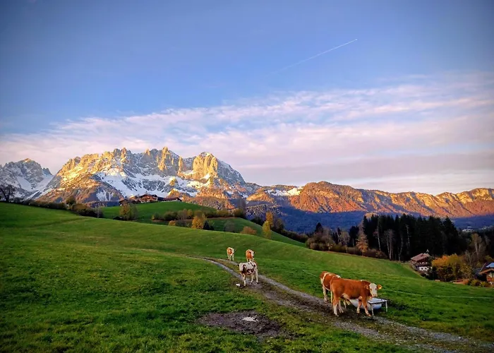 Farm stay Schoesserhof Reith bei Kitzbuehel