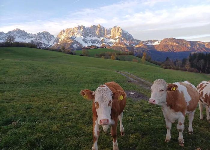 Schoesserhof رين باي كيتزبوهيل